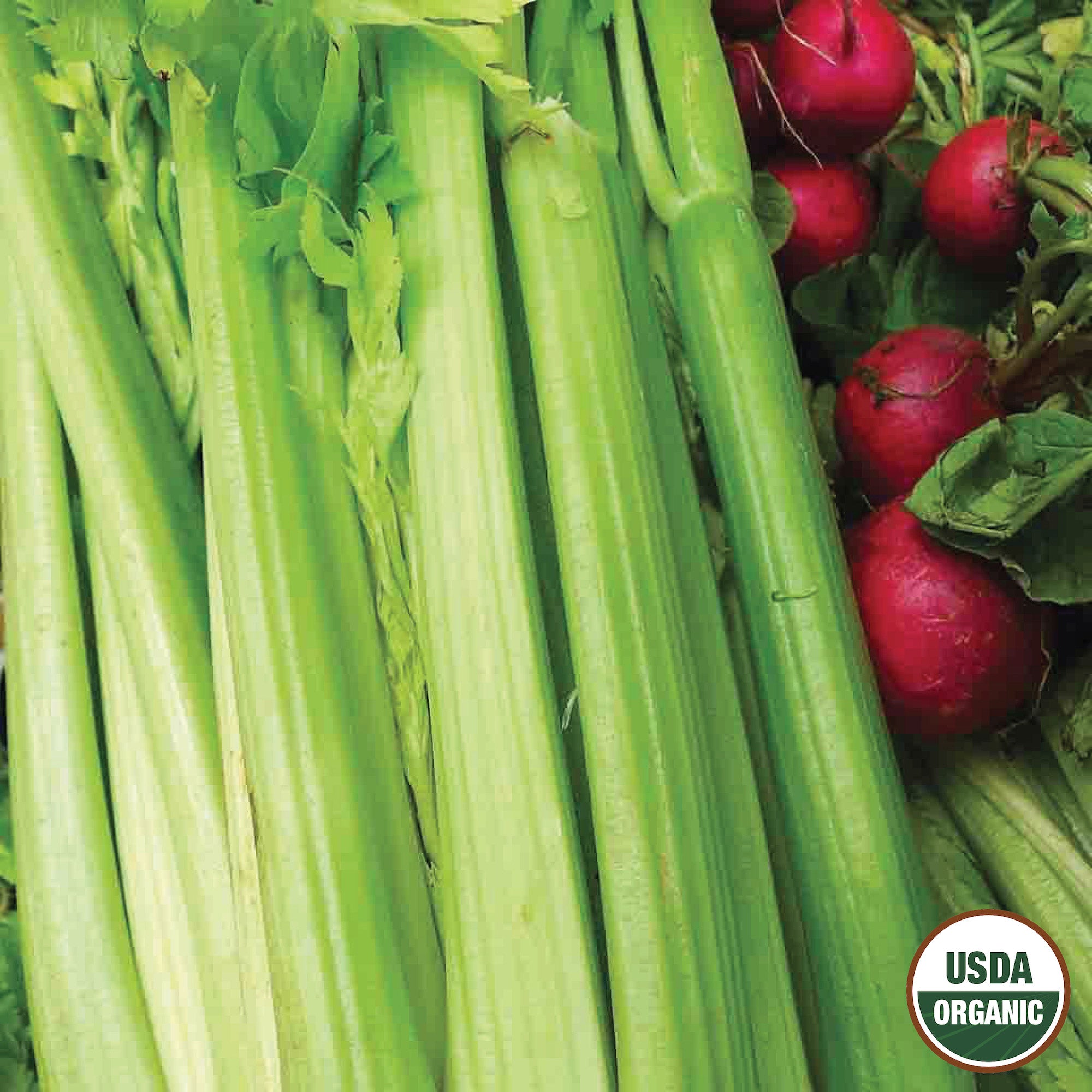 A bunch of green celery stalks with leaves, alongside some radishes, with a USDA Organic label in the corner.